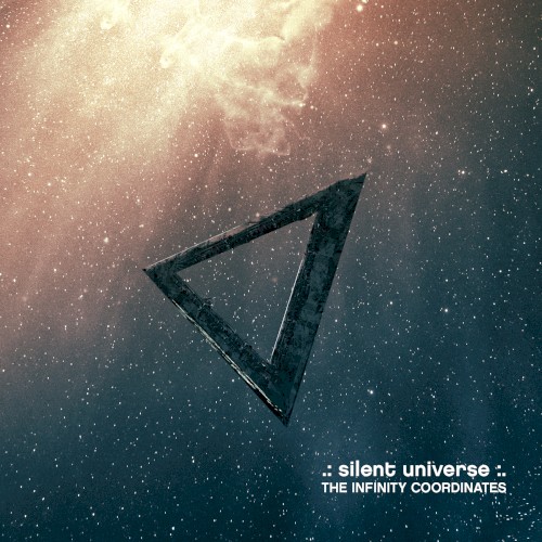 The Infinity Coordinates