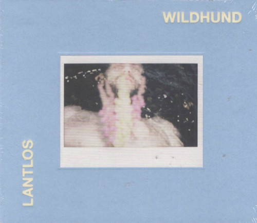 Wildhund