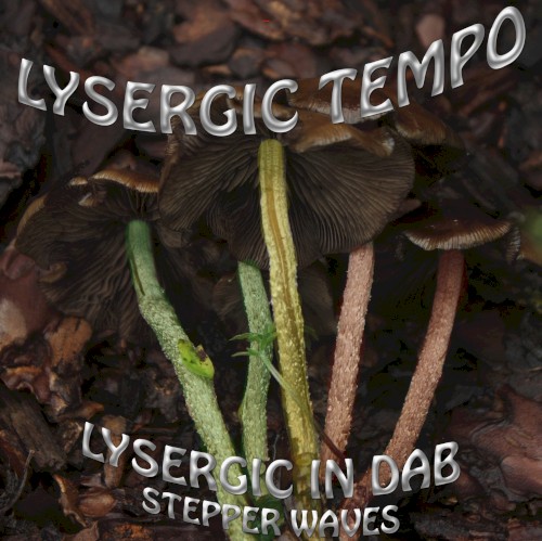 Lysergic in Dab: Stepper Waves