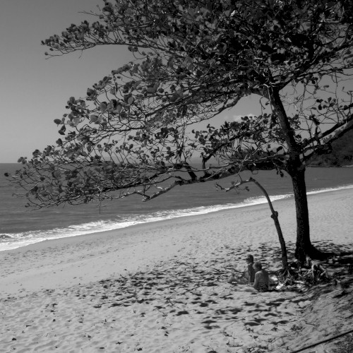 Long Time Sitting by the Sea