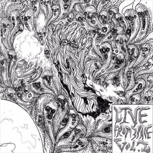 LIVE FROM SPACE VOL. 2