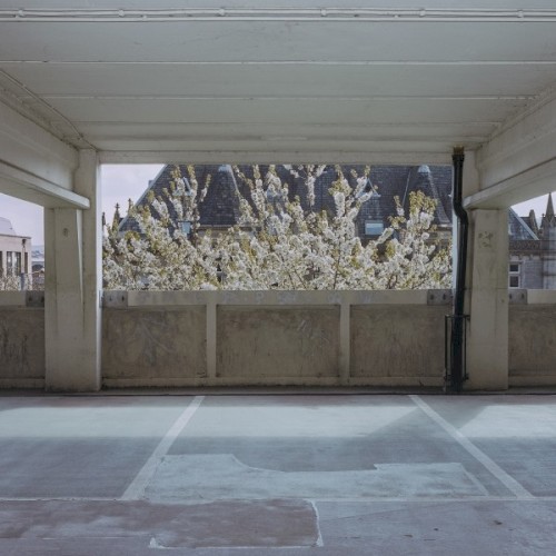 Foam Island