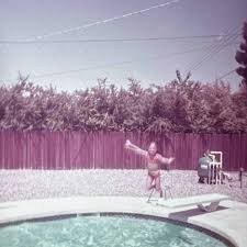 Theology of Beauty: Summer