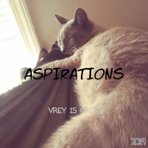 Aspirations