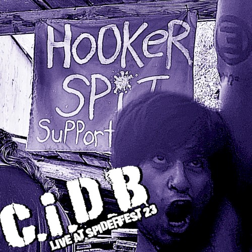 Live at Spiderfest 2023