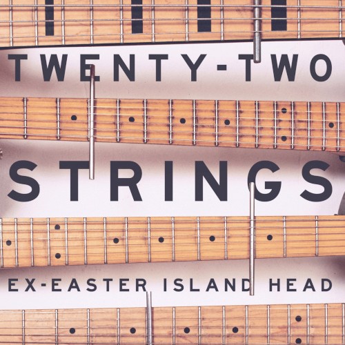 Twenty-Two Strings