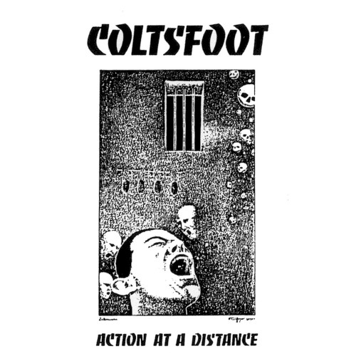 Action at a Distance