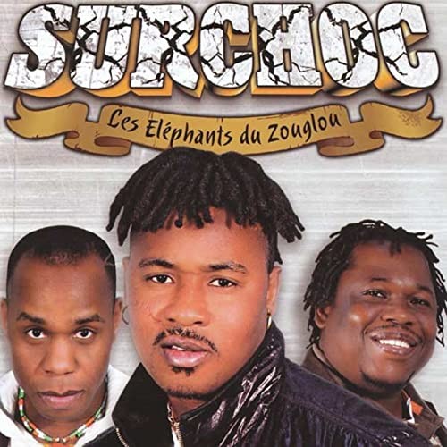 Les Eléphants Du Zouglou