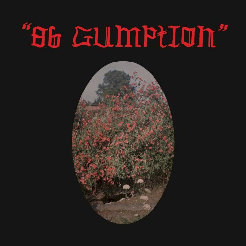 86 Gumption