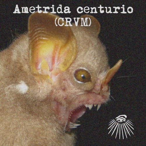 Ametrida centurio