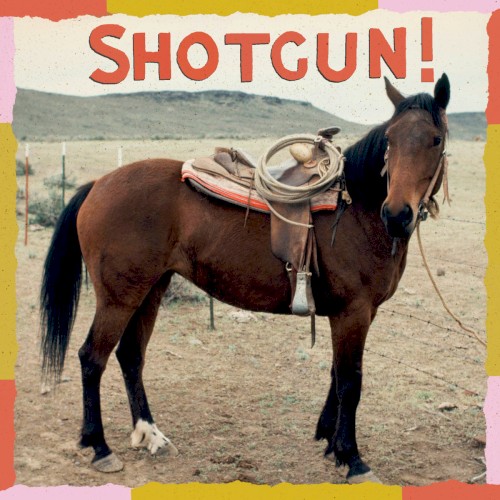 Shotgun