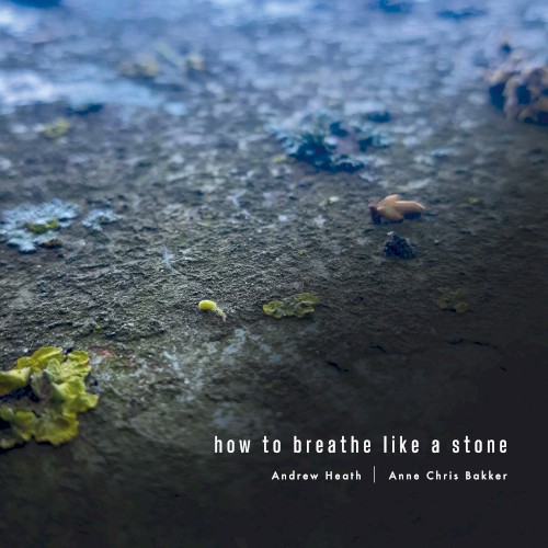 How to Breathe Like a Stone