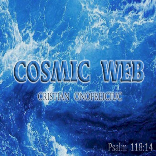 Cosmic Web