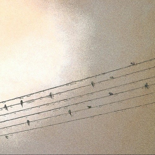 Six Notes Part 4