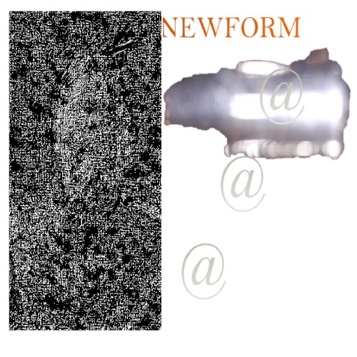 NEWFORM