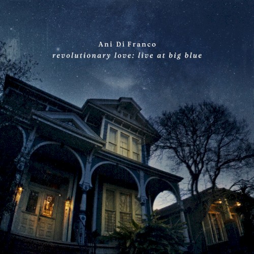Revolutionary Love: Live at Big Blue