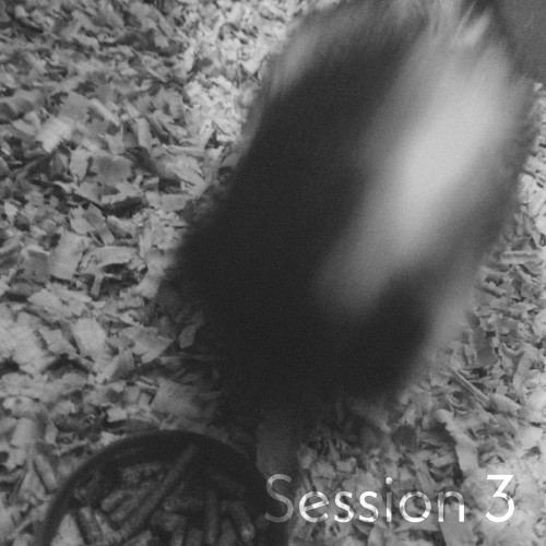 Session 3