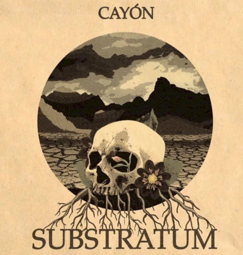 Substratum