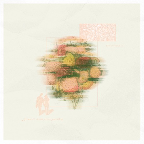 Flowers From Your Garden