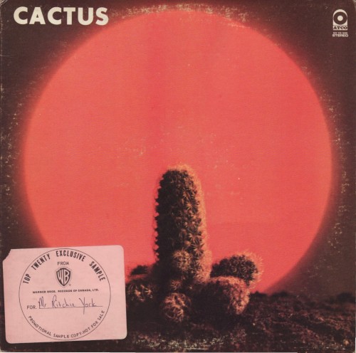 Cactus