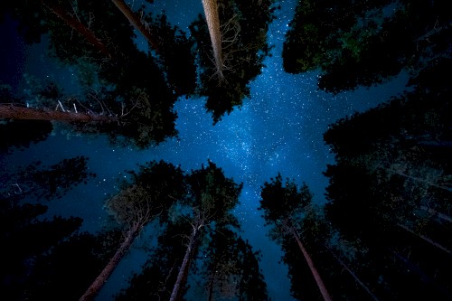 When night has fallen