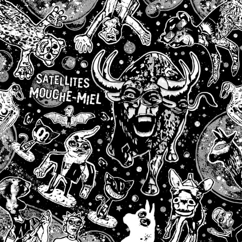 Satellites