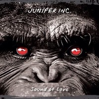 Sound of Love