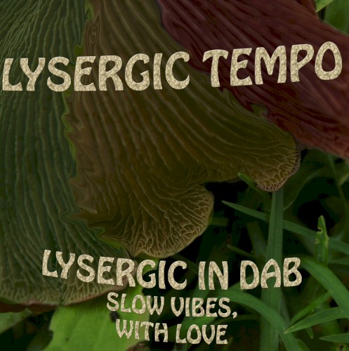 Lysergic in Dab: Slow Vibes, With Love