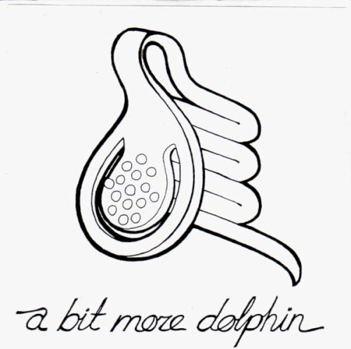 A Bit More Dolphin