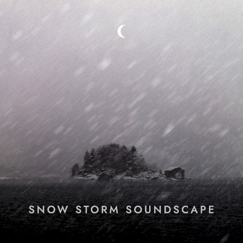 Snow Storm Soundscape