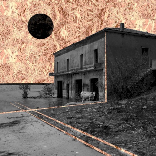 Risorgi