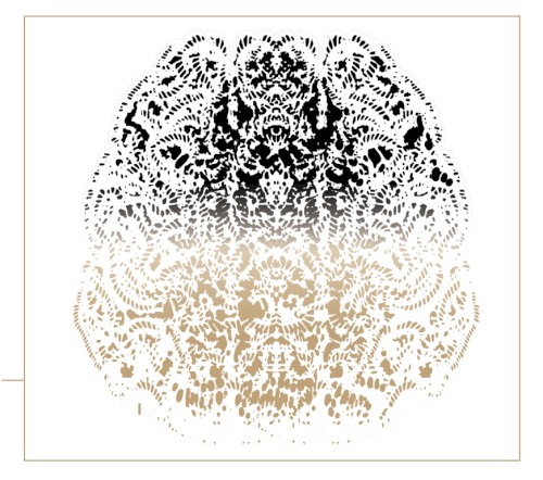 Aeon Synapses Connect