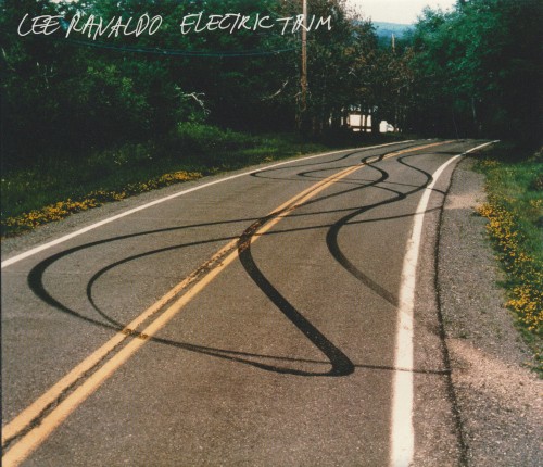 Electric Trim