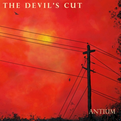 Antium