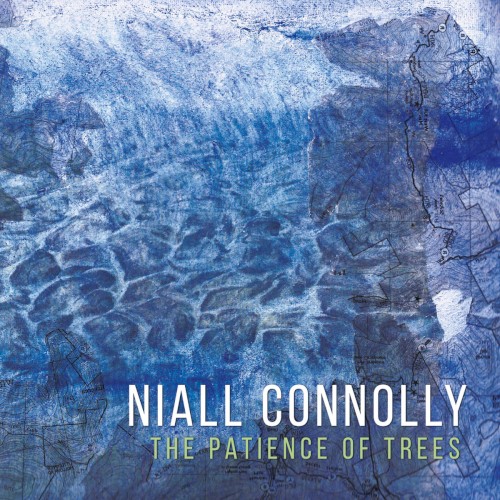 The Patience of Trees