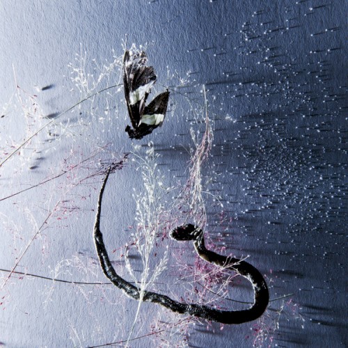 III