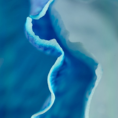 RAZKOL