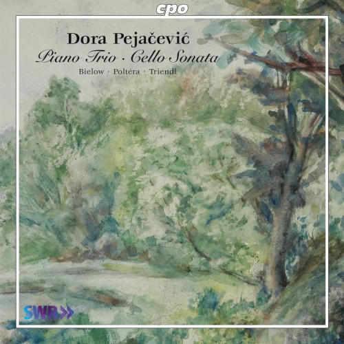Piano Trio / Cello Sonata