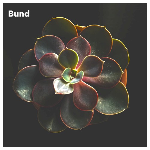 Bund