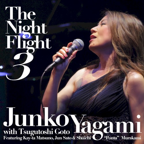 The Night Flight 3