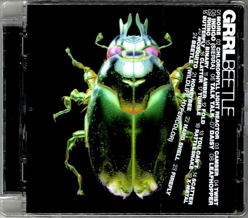 Beetle