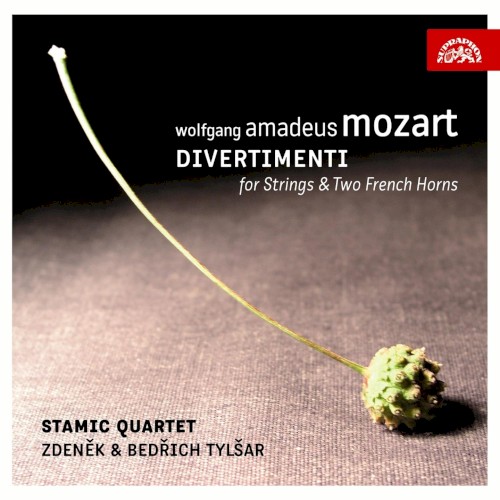 Divertimenti for Strings & Two French Horns