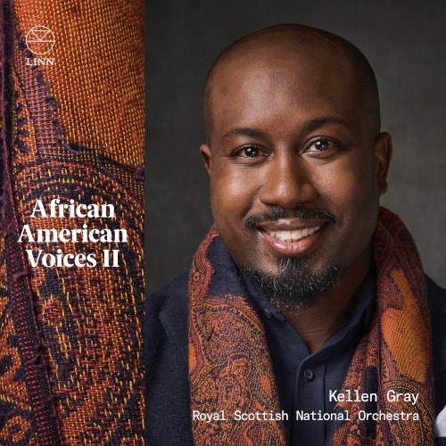 African American Voices II