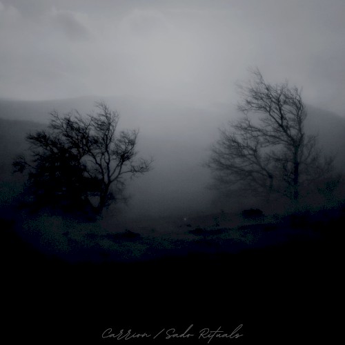 Carrion / Sado Rituals