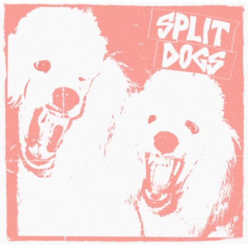 Split Dogs