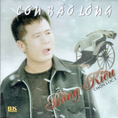 Cơn bão lòng