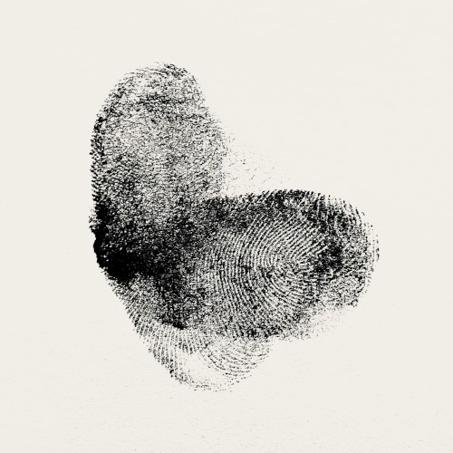 L.N.S.I.