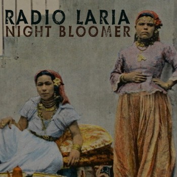 Night Bloomer