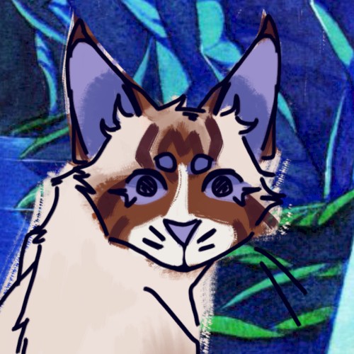 dont be a scaredy cat