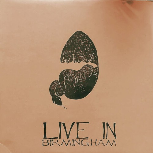Live in Birmingham